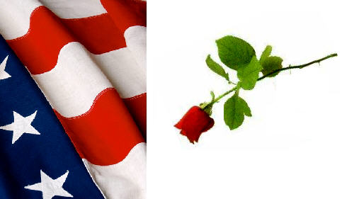 Peace & Roses